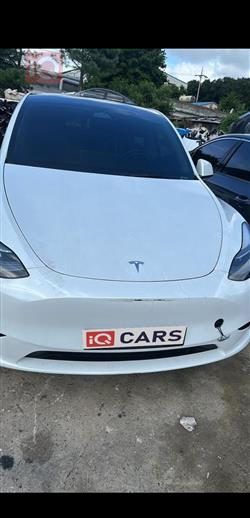 تسلا موديل Y